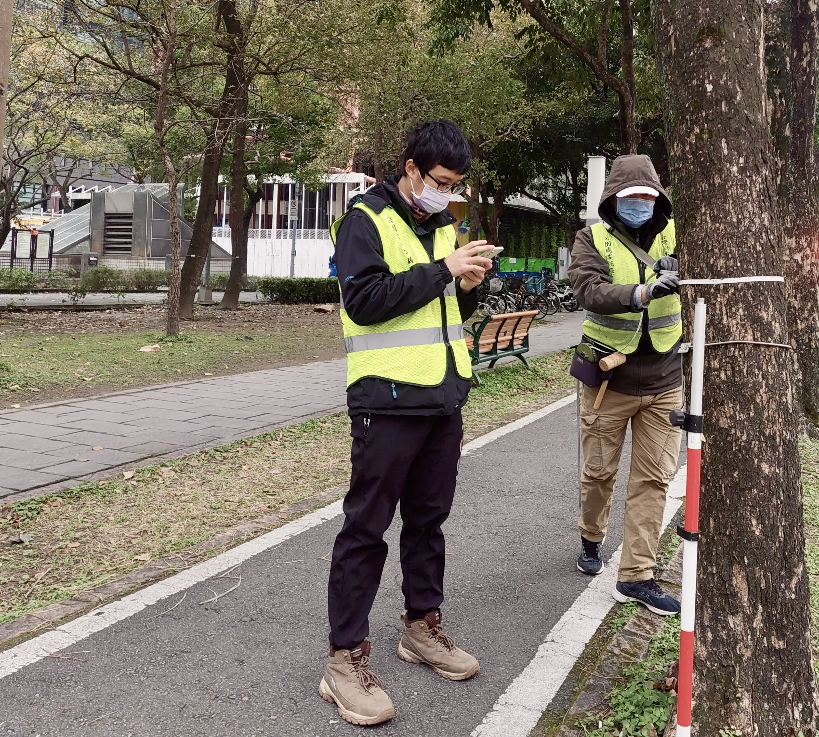 使用儀器調查樹木時的樣貌